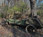 IMG 4756
