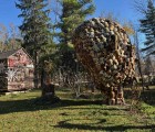 IMG 4761