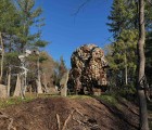 IMG 4763