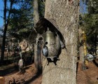 IMG 4772