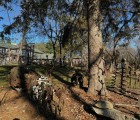 IMG 4774