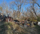 IMG 4781