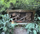 IMG 5725