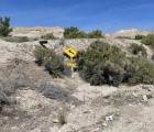 IMG 7236