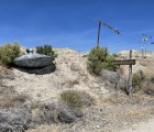 IMG 7237