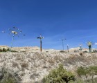 IMG 7239