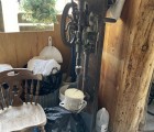 IMG 7256