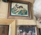 IMG 7265