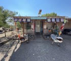 IMG 7281