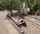 IMG 7282