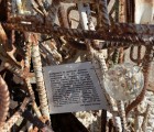 IMG 7284