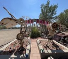 IMG 7291