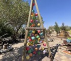 IMG 7297