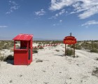 IMG 7317