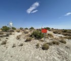 IMG 7334