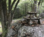 IMG 7887
