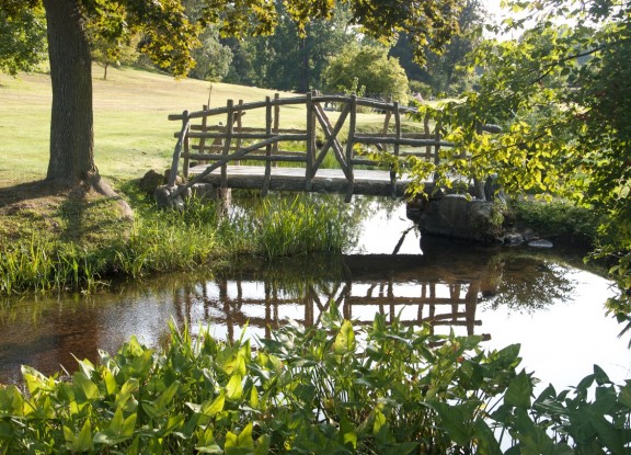 Spaces 3 McCourtie Park