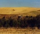 WA 647 Moore Borrelli 008