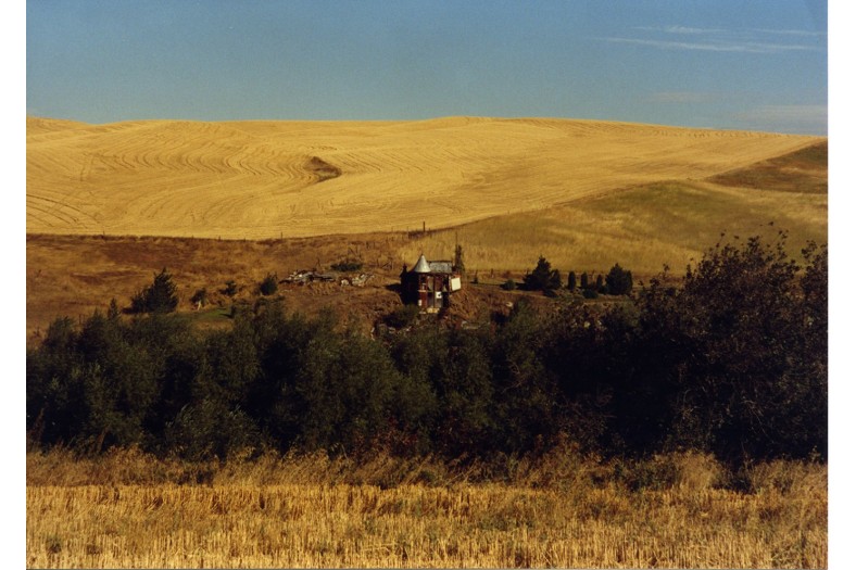 WA 647 Moore Borrelli 008