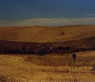 WA 647 Moore Borrelli 009