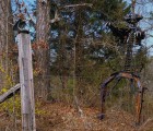 bear and cock roadside sculptures in lamar ar 51967571608 o