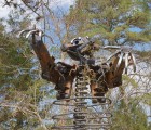 bear roadside sculptures in lamar ar 51966505177 o