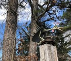 cock dinosaur hill roadside sculptures in lamar ar 51967572178 o