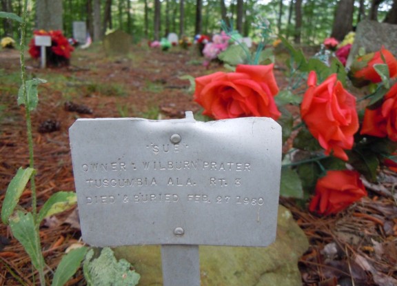 coon dog cemetery tuscumbia alabama 6967918876 o