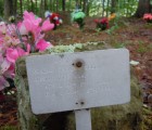 coon dog cemetery tuscumbia alabama 6967919916 o