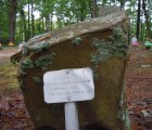 coon dog cemetery tuscumbia alabama 6967921782 o