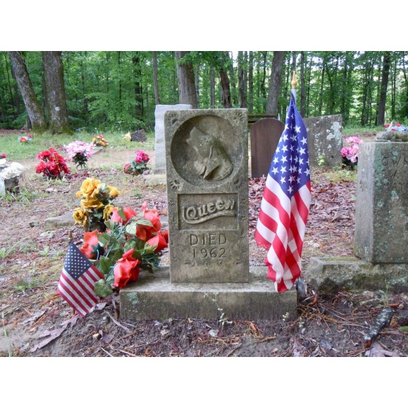 coon dog cemetery tuscumbia alabama 6967925986 o