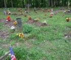 coon dog cemetery tuscumbia alabama 6967934512 o