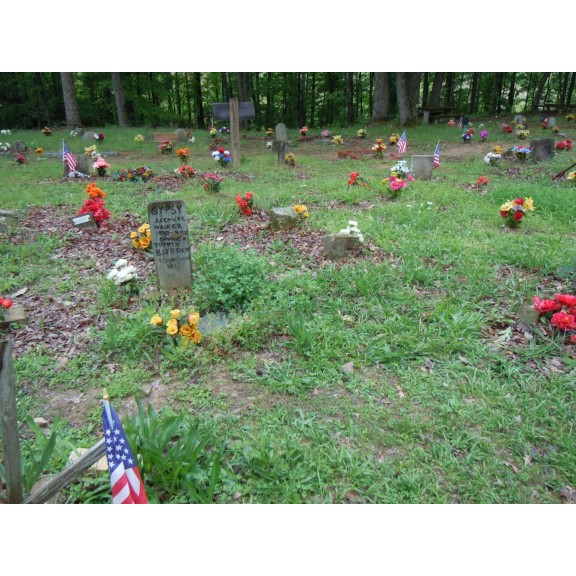 coon dog cemetery tuscumbia alabama 6967934512 o