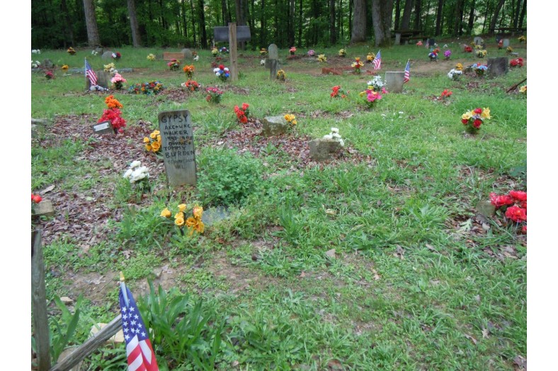 coon dog cemetery tuscumbia alabama 6967934512 o