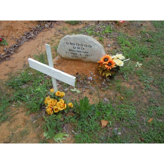 coon dog cemetery tuscumbia alabama 6967935640 o