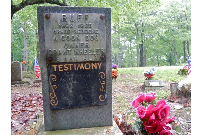 coon dog cemetery tuscumbia alabama 6967955774 o