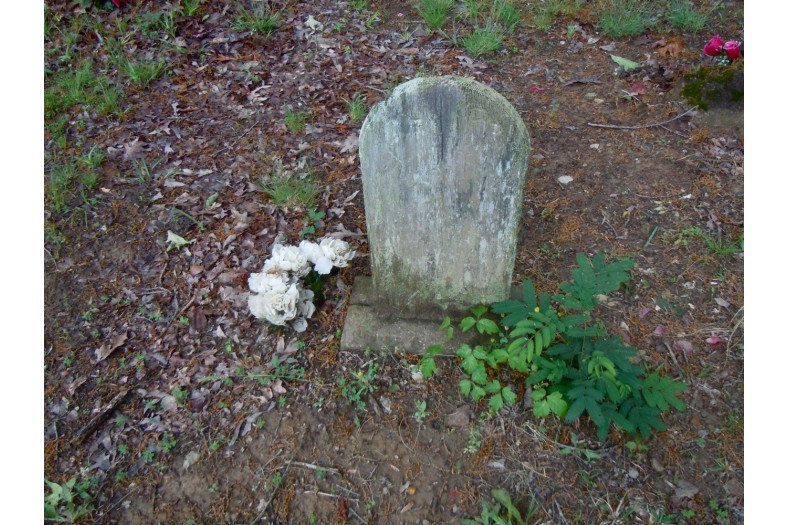 coon dog cemetery tuscumbia alabama 6969807788 o