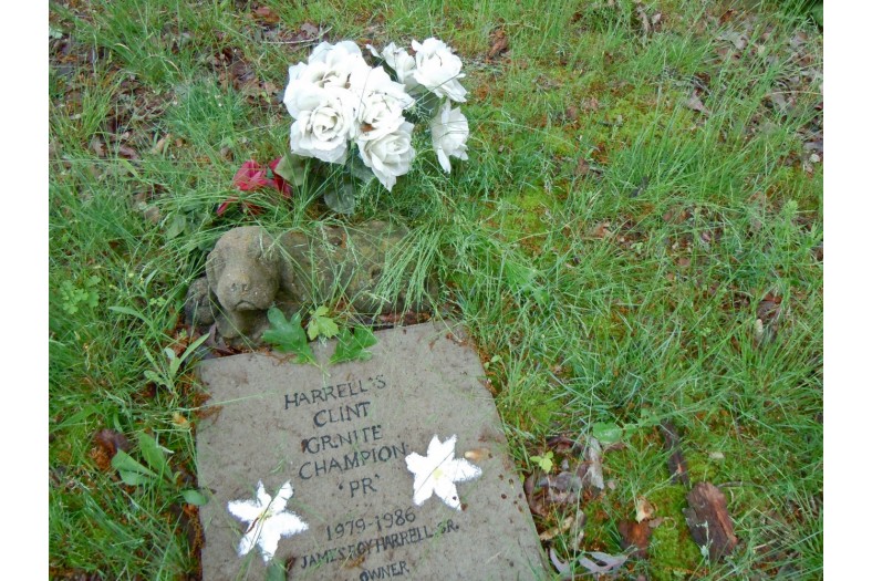 coon dog cemetery tuscumbia alabama 6970267830 o