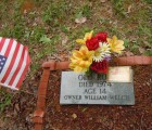 coon dog cemetery tuscumbia alabama 6970277382 o