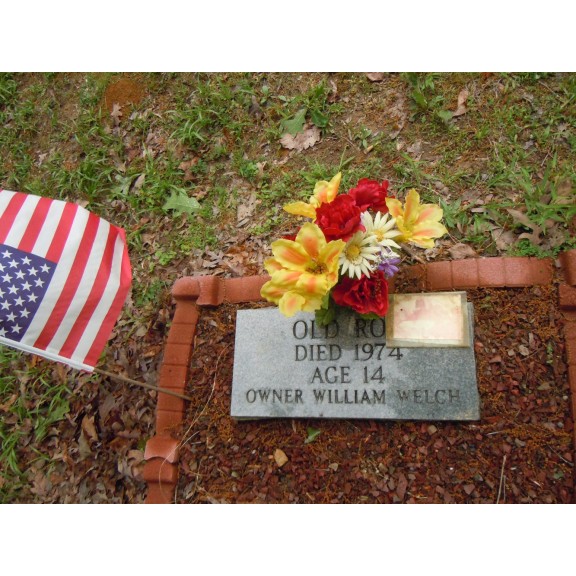 coon dog cemetery tuscumbia alabama 6970277382 o