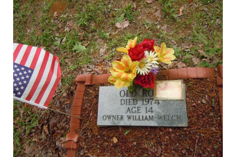 coon dog cemetery tuscumbia alabama 6970277382 o