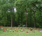 coon dog cemetery tuscumbia alabama 6970285696 o