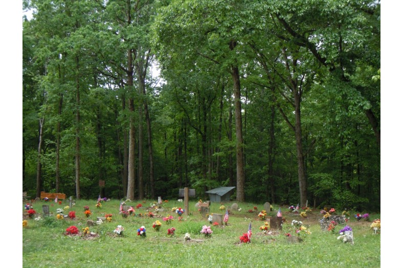 coon dog cemetery tuscumbia alabama 6970285696 o