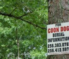 coon dog cemetery tuscumbia alabama 6970289386 o