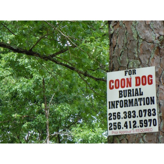 coon dog cemetery tuscumbia alabama 6970289386 o