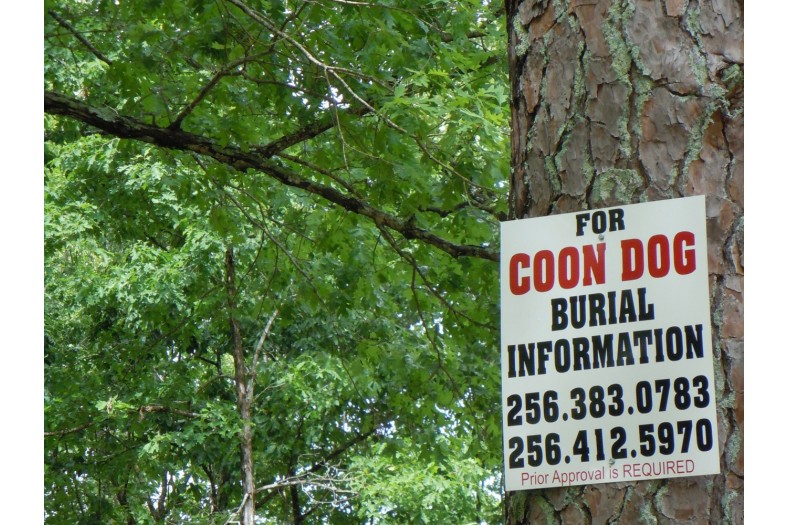 coon dog cemetery tuscumbia alabama 6970289386 o