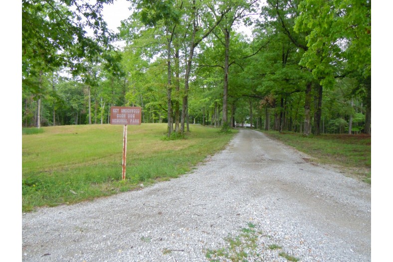 coon dog cemetery tuscumbia alabama 6970822816 o