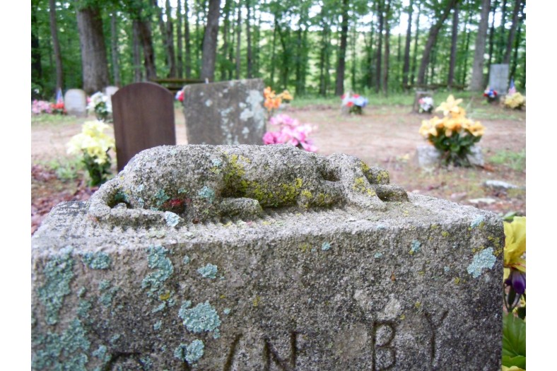 coon dog cemetery tuscumbia alabama 7114002585 o