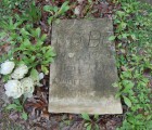 coon dog cemetery tuscumbia alabama 7114007319 o