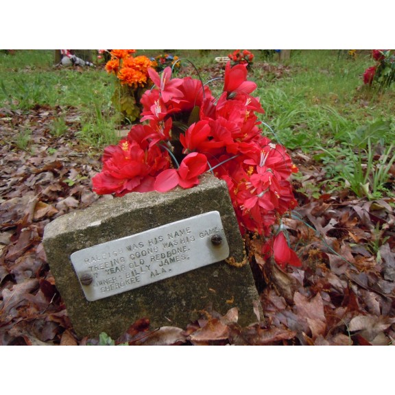 coon dog cemetery tuscumbia alabama 7114025099 o